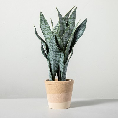 21" Faux Snake Potted Plant - Hearth & Hand™ with Magnolia
