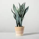 21" Faux Snake Plant - Hearth & Hand™ with Magnolia