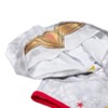 Warner Bros. DC Comics Justice League Wonder Woman Romper Mask Grey - 2 of 4