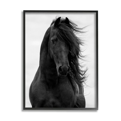 Stupell Industries Black Stallion Horse Portrait Soft Grey Sky Photography