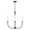 Capital Lighting Decklan 4 - Light Chandelier in  Black Iron - 3 of 4