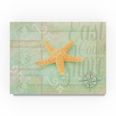 18" x 24" Gypsy Sea Green Star Orange by Lightboxjournal - Trademark Fine Art