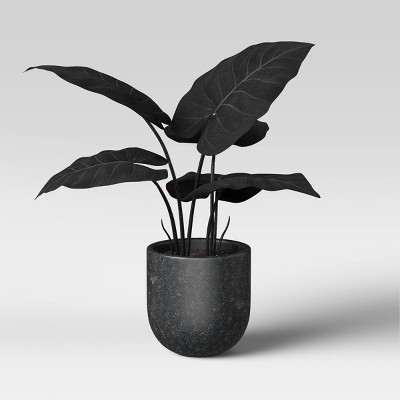 15" x 18" Artificial Black Velvet Alocasia Plant Arrangement in Ceramic Pot - Threshold™