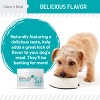 Chew + Heal Organic Kelp Marine Superfood Granules Dental Supplement for Dogs, 16-oz jar - 3 of 4
