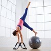 Merrithew Trainer Plus with Stability Ball and Pump - 2 of 4