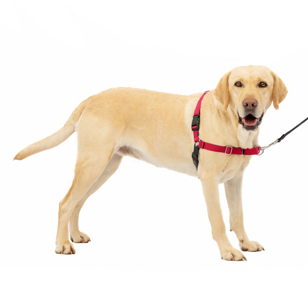 Photos - Collar / Harnesses PetSafe Easy Walk Adjustable Dog Harness - L - Red 