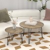 INFURNIC Coffee Tables Round Nesting Coffee Table Set of 2 Imitation Marble Top Sturdy Metal Base for Living Room, Brown, 27.56"*27.56"*17.72" - 2 of 4