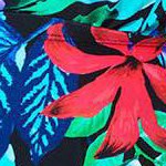 multi tropical