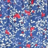 evening blue cardinals