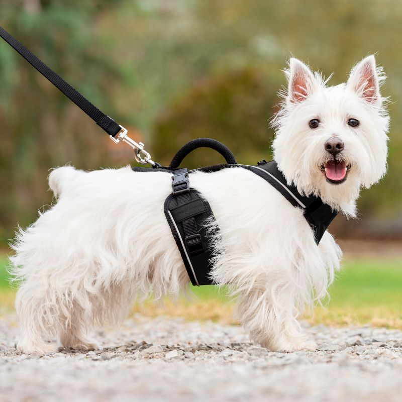 PetSafe EasySport Adjustable Dog Harness, 4 of 11