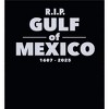 RIP Gulf of Mexico 1607-2025 Youth Long Sleee Hoodie - 2 of 2