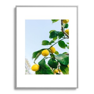 Bethany Young Photography Amalfi Coast Lemons 18"x24" Silver Metal Framed Art Print - Deny Designs - 1 of 4