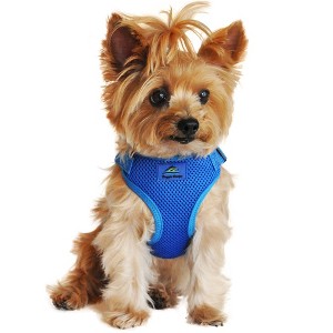 Doggie Design Wrap and Snap Choke Free Dog Harness - Cobalt Blue - 1 of 4