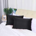 2 Packs Queen Size Zippered Silky Satin Pillowcases Pillow Cases Covers Black - PiccoCasa