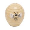 Transpac Everyday Beehive Dolomite Salt and Pepper Shakers Collectables Multicolor 2.55 in. Set of 2 - 3 of 4