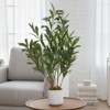 23.6" Potted Faux Olive Tree, Artificial Olive Plant with Lifelike Leaves & Fruits for Home Office Indoor Decor - 4 of 4