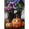 Briarwood Lane House Flag 40x28 For Outdoor Spooky Kittens Halloween For Halloween House Flag - 3 of 4
