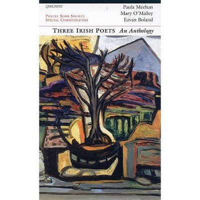 Three Irish Poets - by  Eavan Boland & Mary O'Malley & Paula Meehan (Paperback)