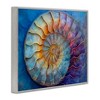 Stupell Industries Maritime Nautilus Spiral Black Framed Giclee Art - 3 of 4