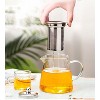 Itopfox Mini Glass Teapot with Removable Stainless Steel Infuser for Blooming & Loose Leaf Tea, Microwave & Stovetop Safe - 4 of 4