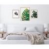 Kate & Laurel All Things Decor (Set of 3) Sylvie EV Monstera 582 Monstera and Monstera Leaves Framed Canvas Wall Art Set by Various Artists - 3 of 4