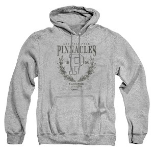 Men's Pinnacles National Park Laurel Wreath Pull-Over Hoodie - 1 of 4