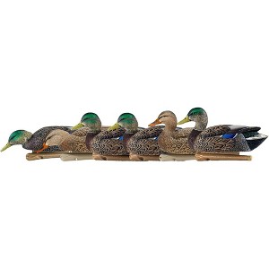Avian X Topflight Mallards Early Season Pack of 6 Floating Decoys - 1 of 2