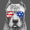 Adult Design By Humans American Pitbull With Sunglasses By Sweatshirt - 2 of 2