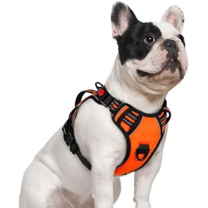 rabbitgoo Dog, , , Easy Walking Harness with 2 Leash Clips, Orange, S - 1 of 1