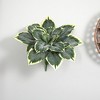 Nearly Natural Variegated Hosta Artificial Plant (Set of 6) - 2 of 2