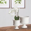 Plum & Post Mirabelle Decorative Pedestal Bowl Small - 4 of 4