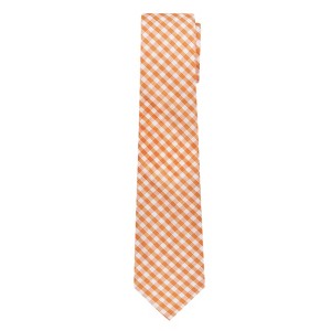 Jacob Alexander Boys’ Gingham Check Necktie – Prep Length - 1 of 4