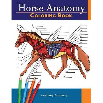 Horse Anatomy Coloring Book - by  Anatomy Academy (Paperback)
