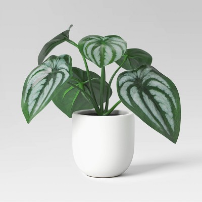 5.5&#34; Mini Tabletop Peperomia  Artificial Plant - Threshold&#8482;