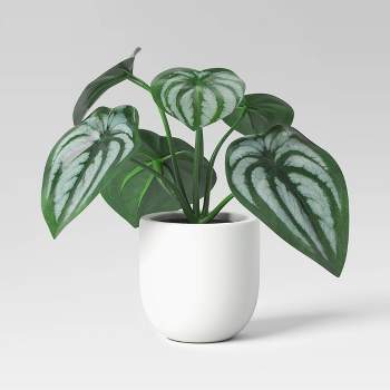 Artificial Plants & Greenery for Home Decor: Target