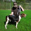 Country Brook Petz Deluxe Dog Collar - Camouflage Collection - Made in The U.S.A. - 3 of 4
