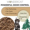 Progressive Planet Wundercat Natural Pine Cat Litter, 20lbs - 4 of 4
