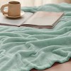 Cozy Comfort by Bedsure | Flannel Blanket Solid 260GSM Soft Fuzzy Plush Bed Blanket - 4 of 4