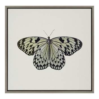 Kate and Laurel Sylvie Two Tone Butterfly Framed Canvas by Robert Cadloff of Bomobob, 22x22, Gray