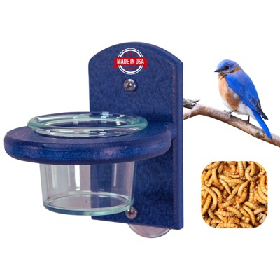 JCs Wildlife Window Bluebird Mealworm Feeder w/ Removable Jar