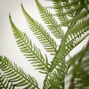 Sullivans Artificial High Potted Fiddlehead Fern 60"H; Green - 2 of 4