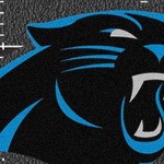 carolina panthers
