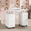 Manicure Nail Table Desk with Electric Dust Collector, 4 Drawers, Cabinet & Lockable Wheels, Salon Tech Station for Beauty Spa - 3 of 4