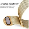 Worryfree Gadgets Metal Mesh Magnetic Dressy Band for Apple Watch - Two Color Option - 3 of 4
