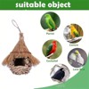 ZACHVO Handcrafted Natural Grass Bird Nest - Perfect for Small Birds - 3 of 4