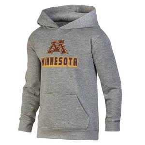 NCAA Minnesota Golden Gophers Boys' Gray Hoodie - 1 of 3