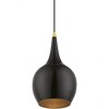 Livex Lighting Andes 1 - Light Pendant in  Shiny Black/Polished Brass - 2 of 3