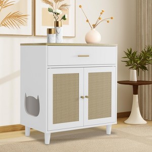 Cat Litter Box Enclosure Furniture, Wooden Cat House with Scratching Board Doors and Storage Drawer - 1 of 4