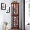 Okak Corner Curio Cabinet with Glass Doors and Adjustable Tempered Glass Shelves, Display Cabinet for Living Room, Kitchen - 3 of 4