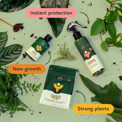 WE THE WILD Houseplant Essentials Kit - Thumbnail 5